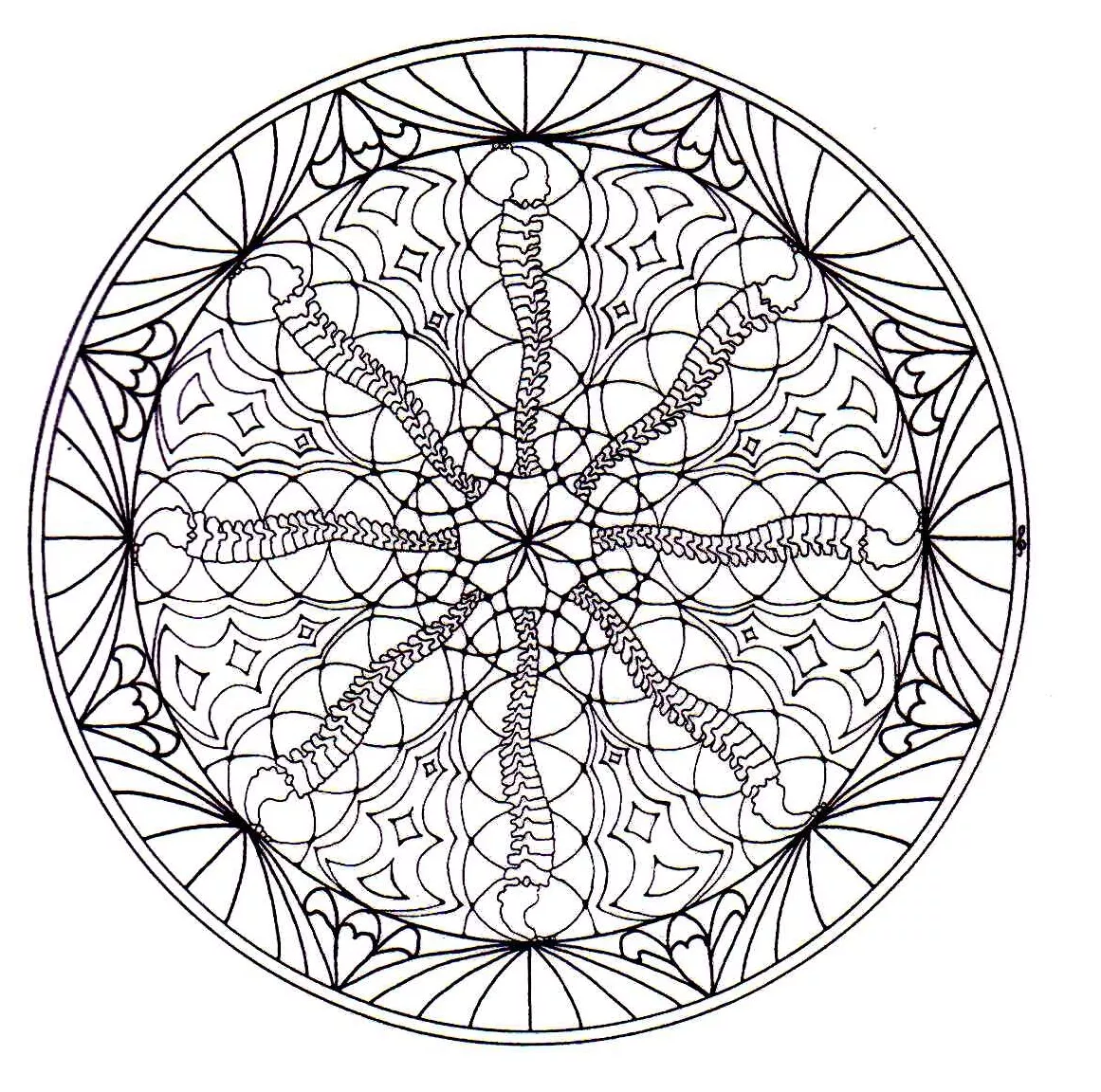 Harmonie und Vegetation (Thematische Mandalas : Blumen & Vegetation)