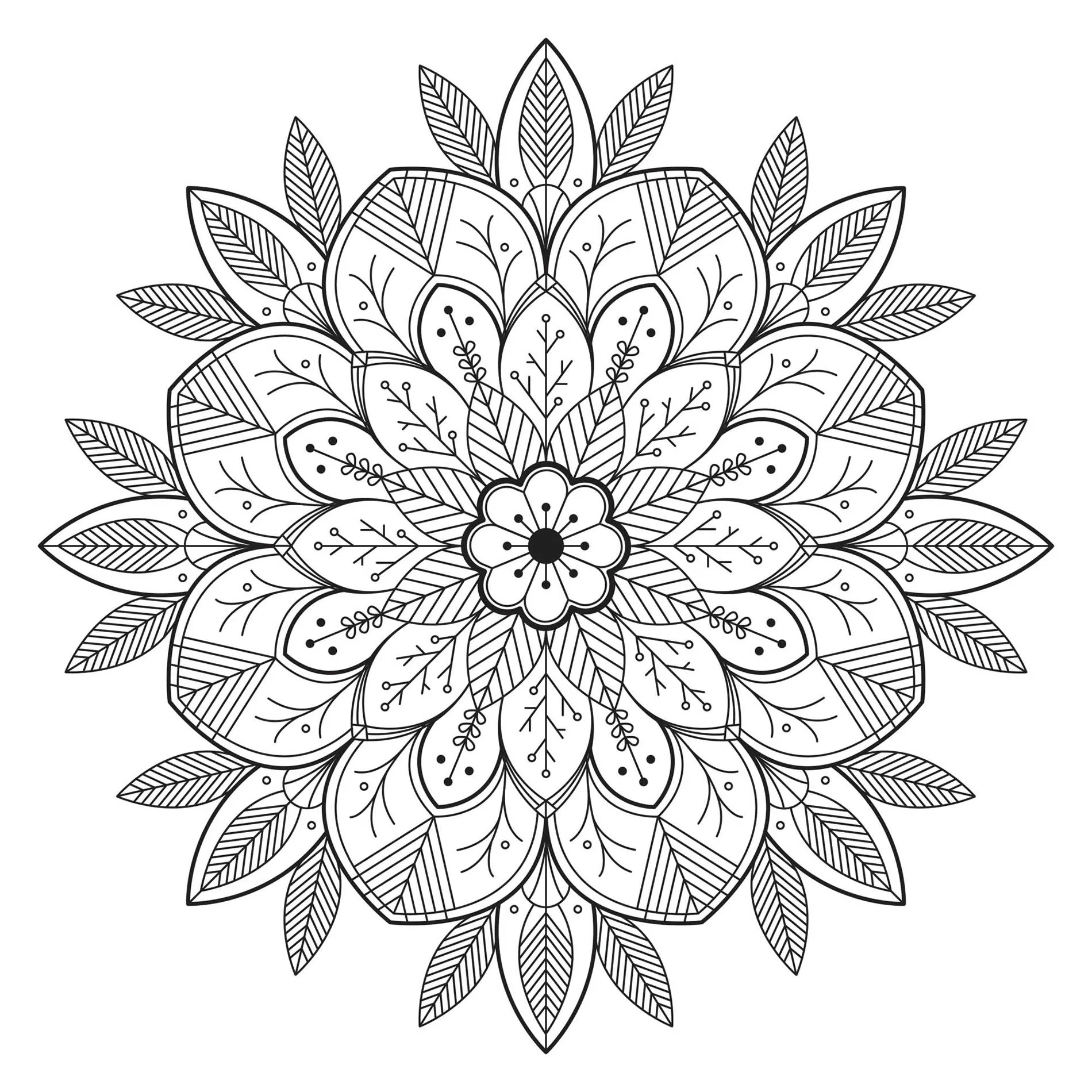 Schönes Mandala mit Blumen und Blättern (Thematische Mandalas : Blumen & Vegetation)