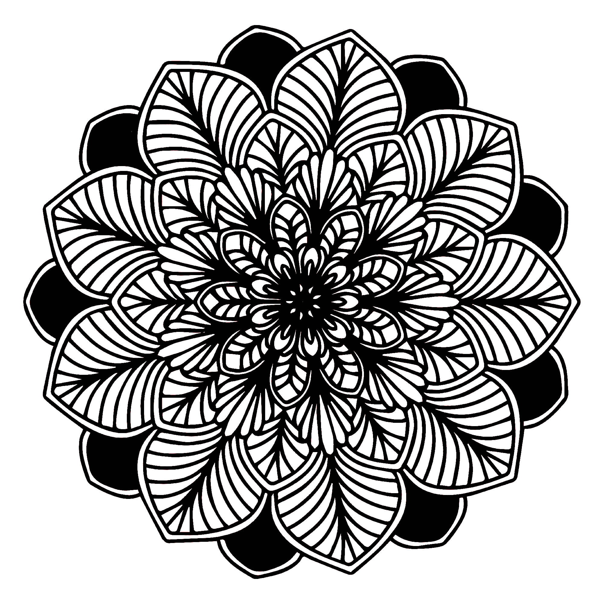 Wenn die Pflanzenwelt sich perfekt in ein Mandala einfügt, sieht das so aus, ist das nicht wunderschön? Es besteht aus Blättern: einige auf schwarzem Hintergrund und andere sehr realistisch und mit dicken Linien.