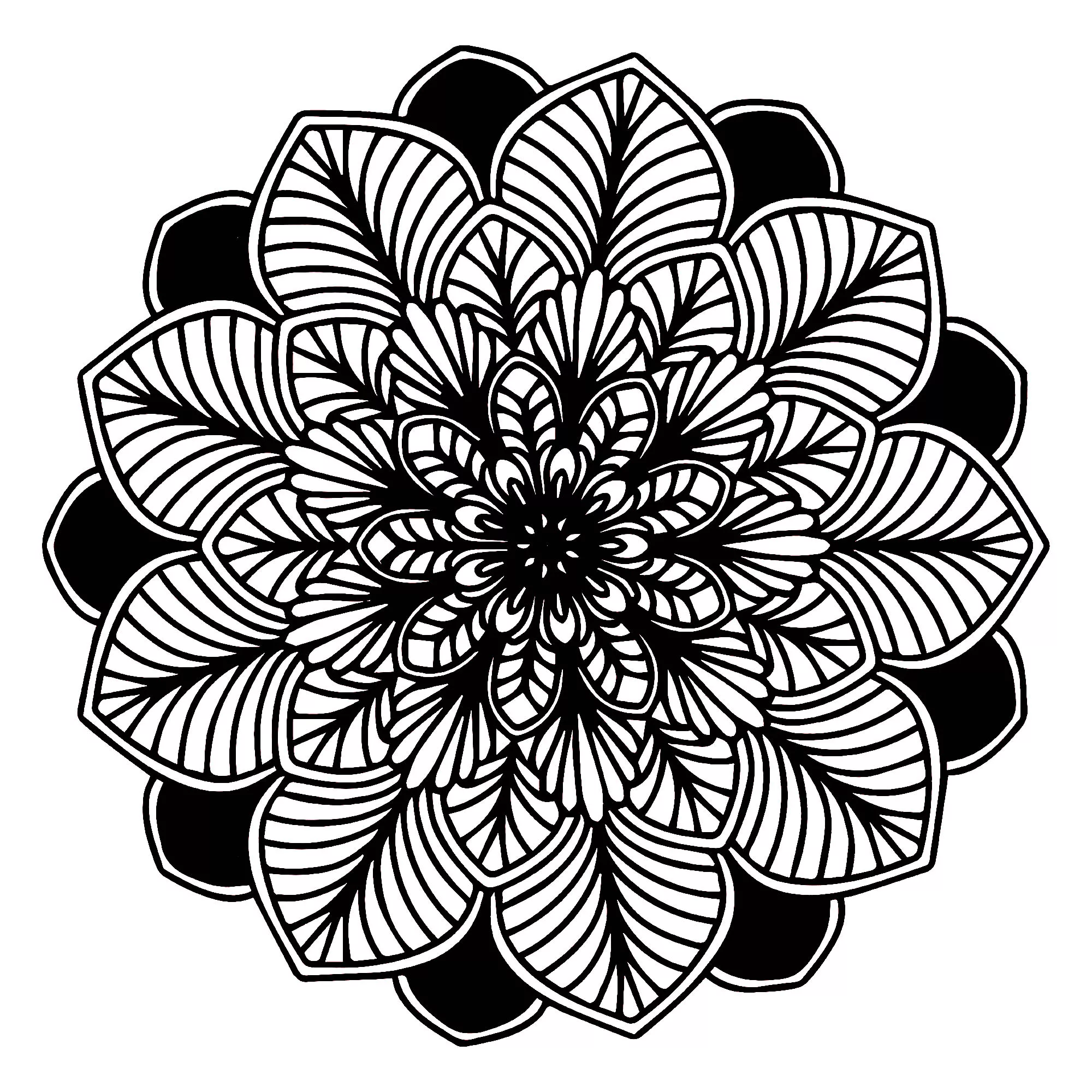 Mandala-Blätter schwarz & weiß (Thematische Mandalas : Blumen & Vegetation)