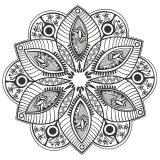 Wunderschön gezeichnetes Blumenmandala (Thematische Mandalas : Blumen & Vegetation)