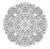 Mandala Blumen Mit Großen Blütenblättern