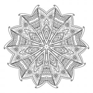 Abstraktes Mandala mit Blättern (Thematische Mandalas : Blumen & Vegetation)