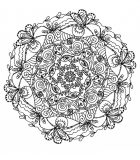 Natürliches und elegantes Mandala (Thematische Mandalas : Blumen & Vegetation)