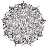Ultradetailliertes und minutiöses Pflanzenmandala (Thematische Mandalas : Blumen & Vegetation)