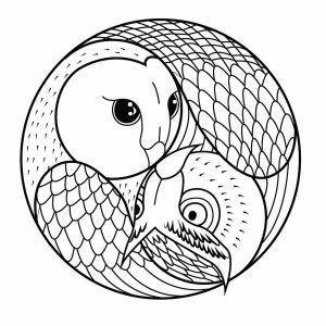 Mandala Hibou einfach (Schwierigkeitsgrad Mandalas : Einfach (für Kinder))