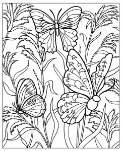ausmalen-erwachsene-schmetterlinge-pflanzen (Images tagged "schmetterling")