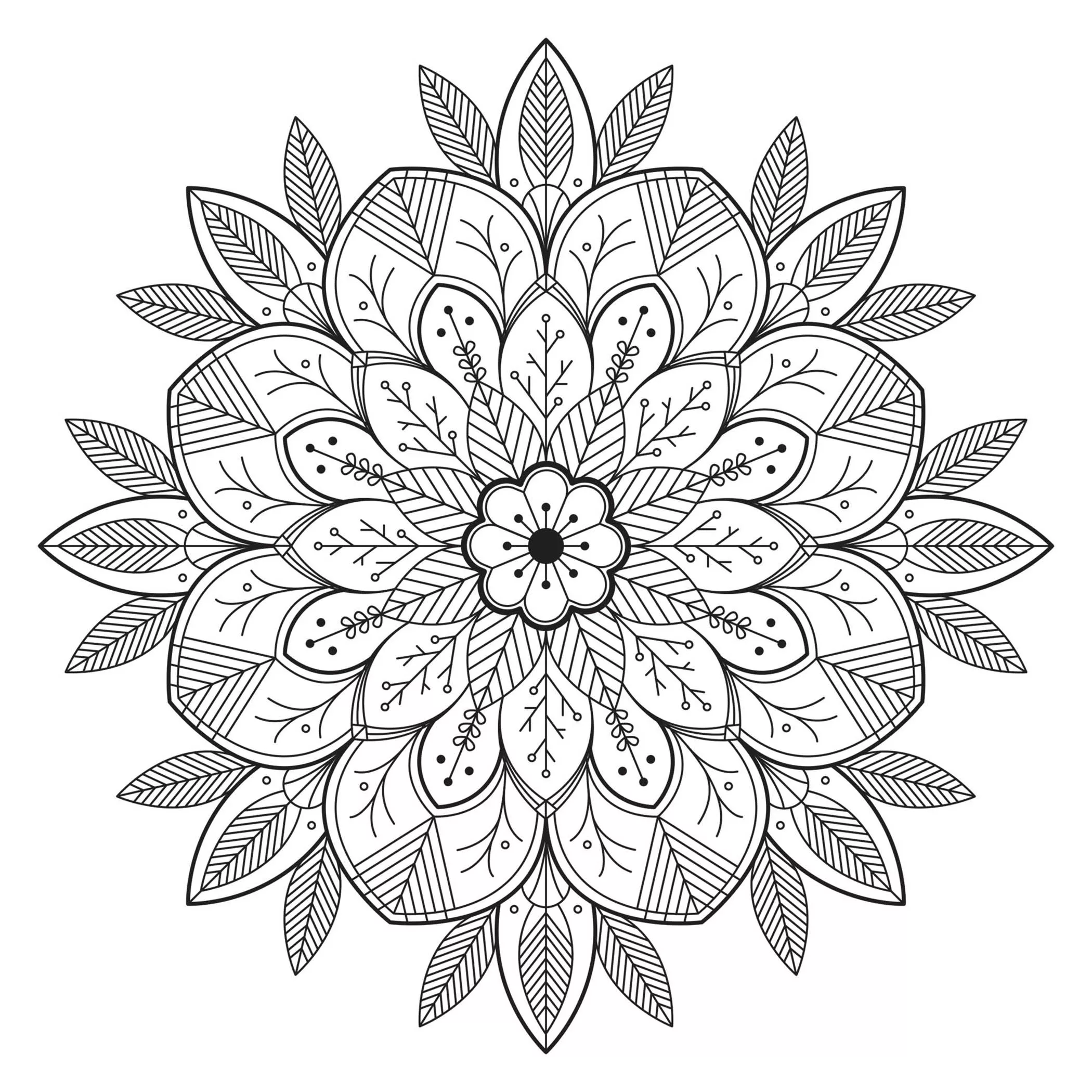 Blume und Blätter (Schwierigkeitsgrad Mandalas : Normal)