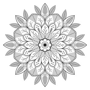 Blume und Blätter (Schwierigkeitsgrad Mandalas : Normal)