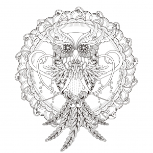 Un Mandala Hibou Par Kchung