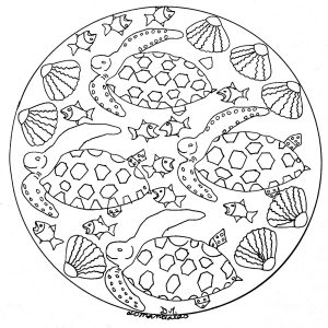 Mandala Muscheln, Schildkröten und Fische
