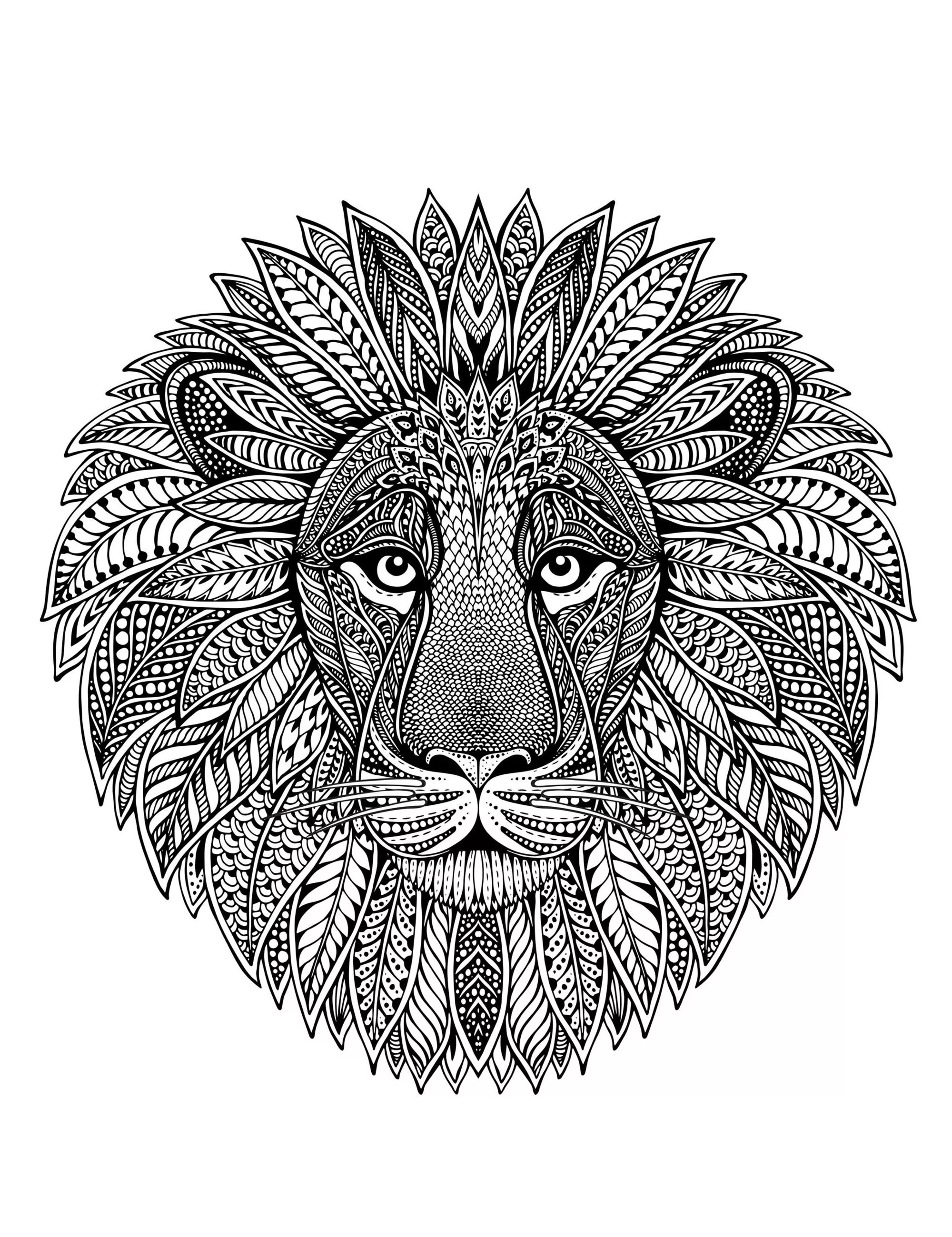 Mandala Löwenkopf (Schwierigkeitsgrad Mandalas : Schwierig)