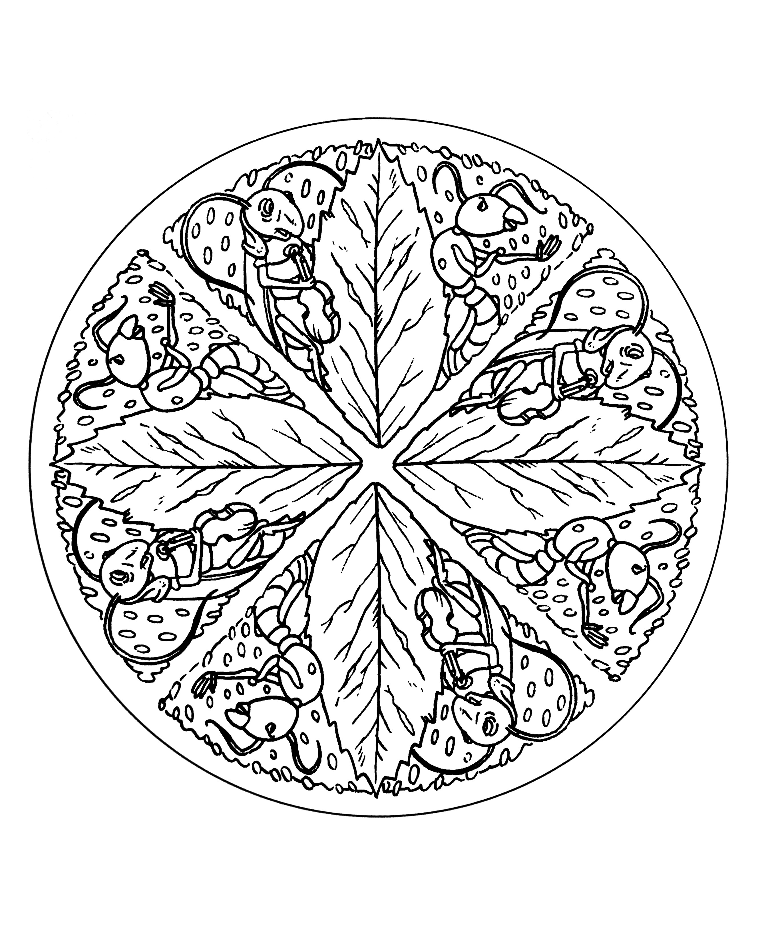 Sehr originelles und symmetrisches Mandala, das mehrere Ameisen sowie verschiedene Blätter darstellt, die eine hübsche Blume bilden.