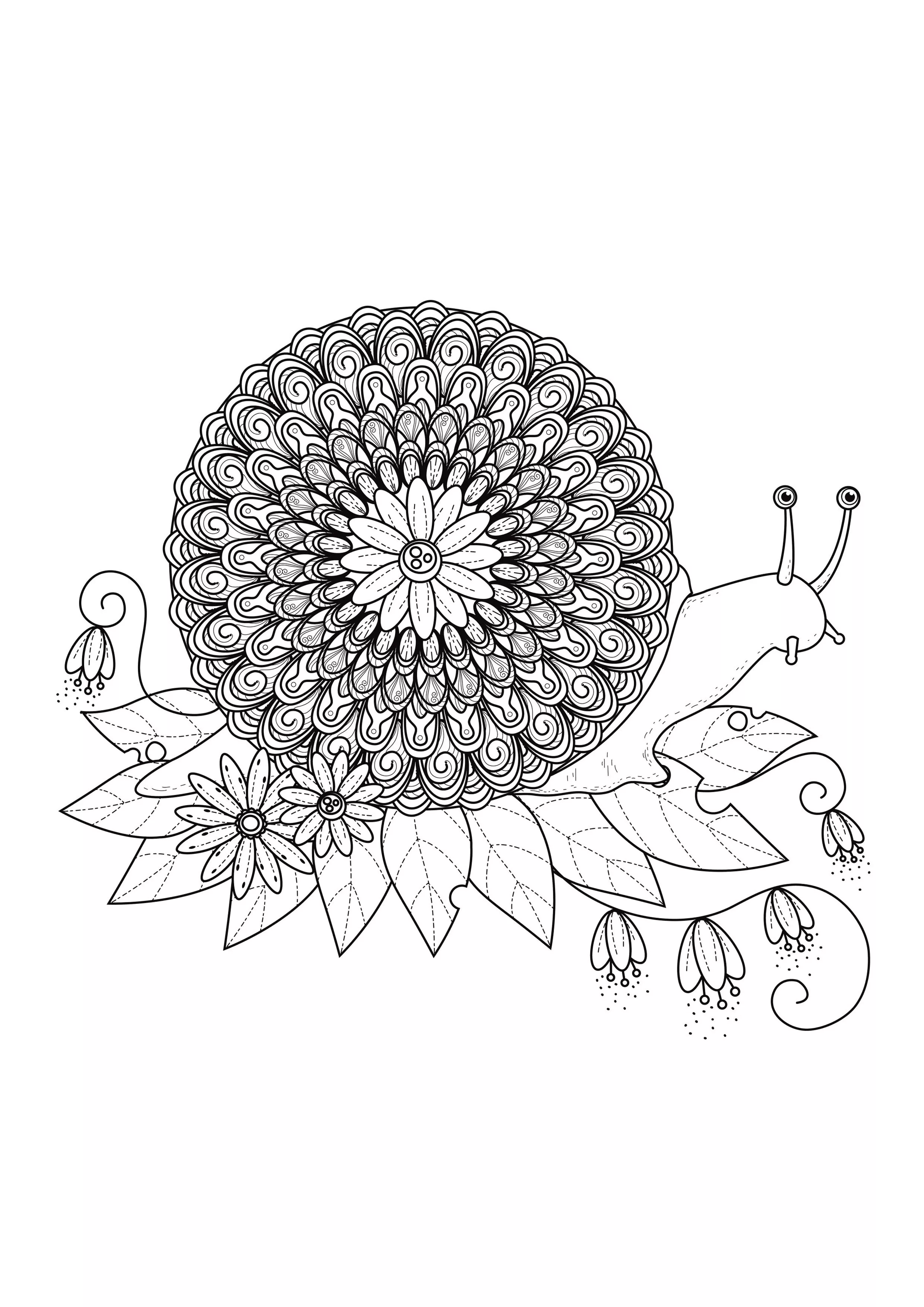Mandala-Schnecken (Schwierigkeitsgrad Mandalas : Schwierig)