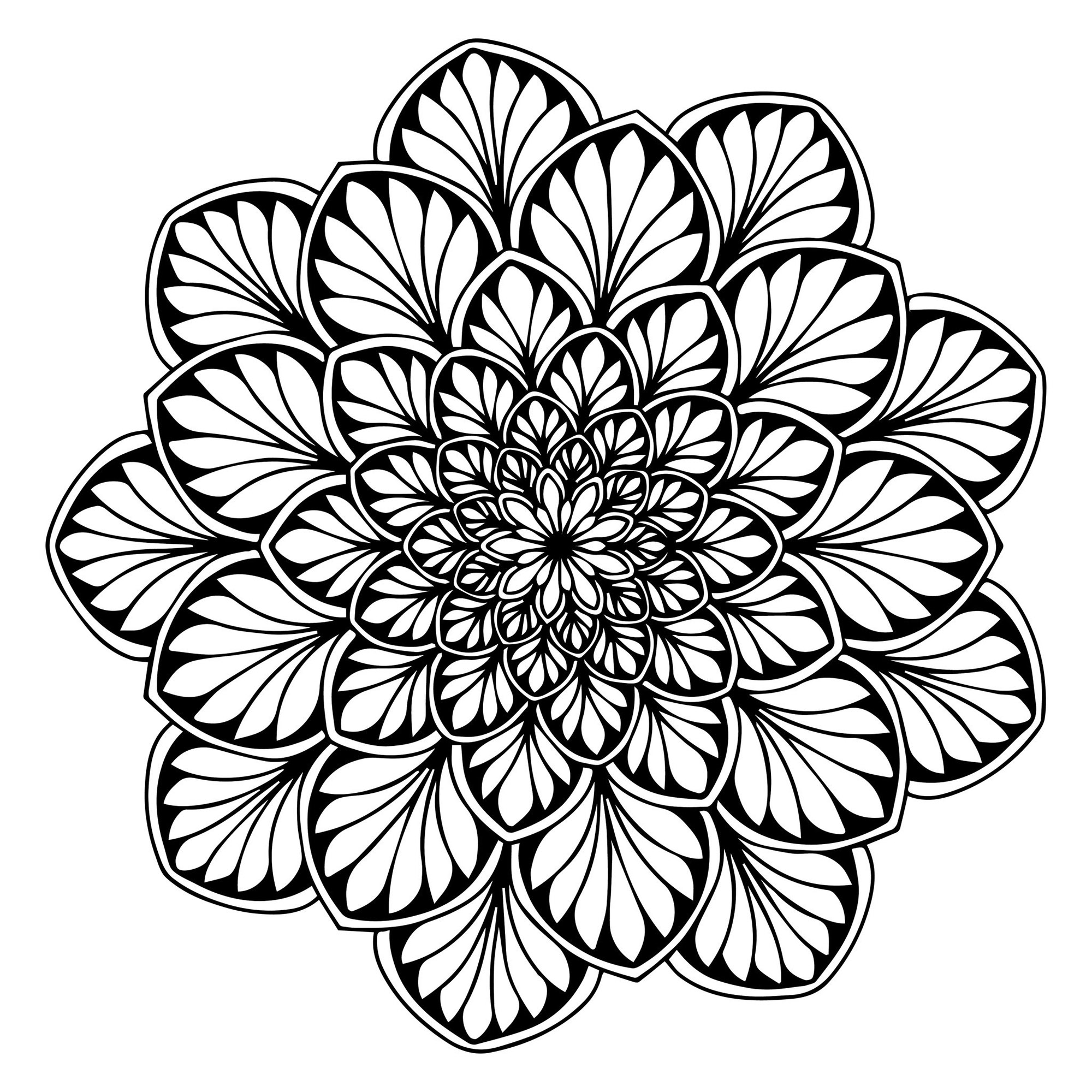 Mandala mit symmetrischen, regelmäßigen Blättern