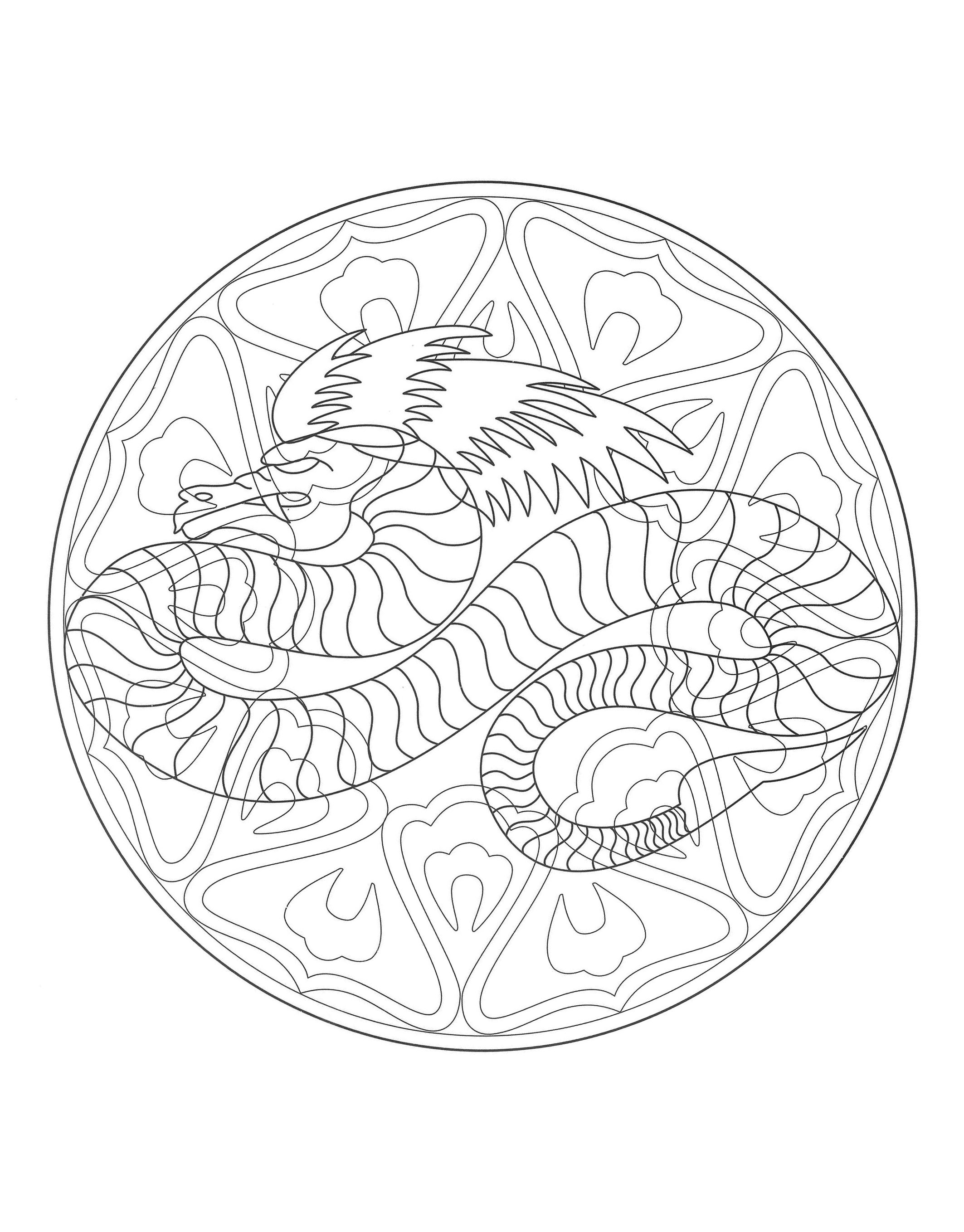 Unglaubliches Mandala mit Drachen. Zahlreiche Details