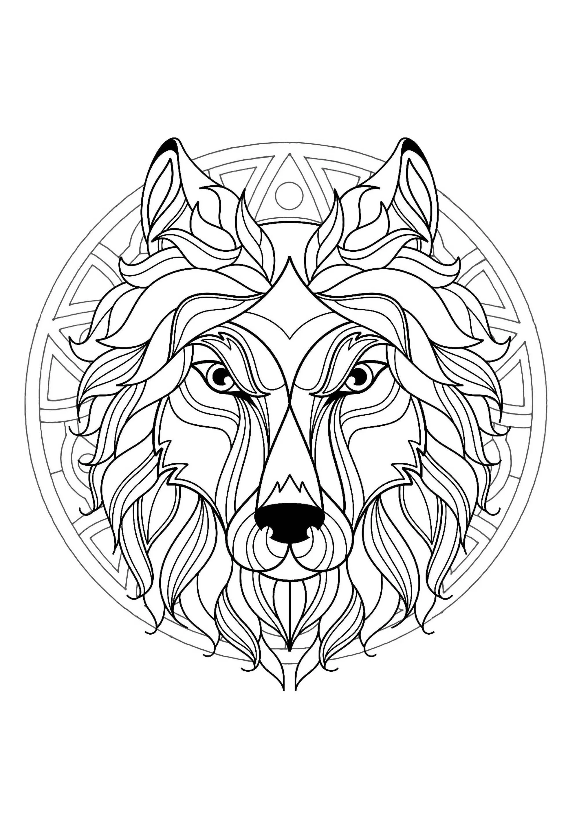 Wolfskopf-Mandala - 3 (Schwierigkeitsgrad Mandalas : Schwierig)