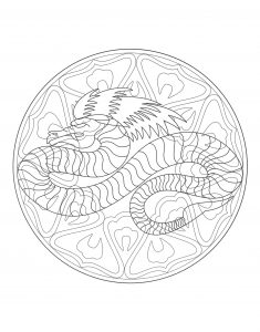 Chinesisches Drachenmandala Komplex
