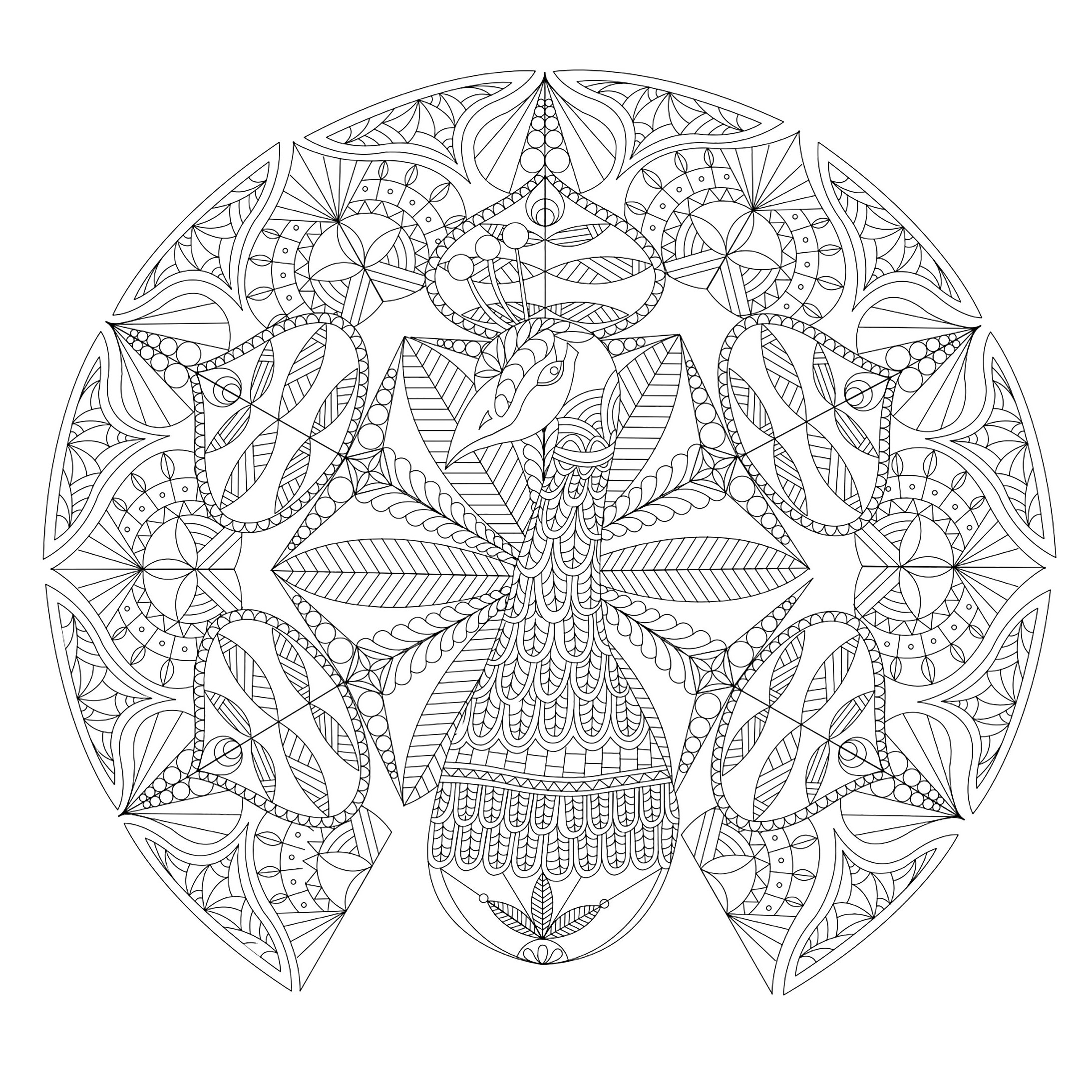 Ein hübscher Pfau, eingebettet in ein recht schwieriges Mandala, das Ihnen aber viel Freude beim Ausmalen bereiten wird, Künstler : Flora