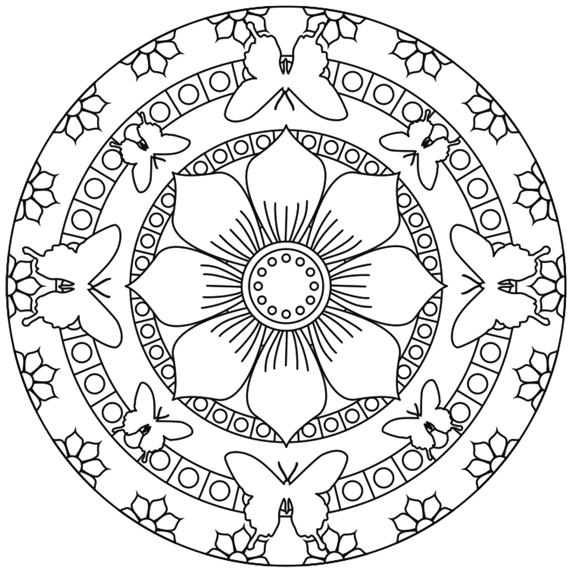 Mandala Schmetterlinge leicht gemacht (Thematische Mandalas : Tiere)
