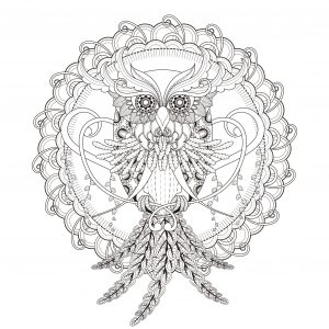 Hübsche Eule In Einem Mandala