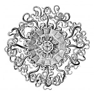Mandala Anatomisches Brett Vintage