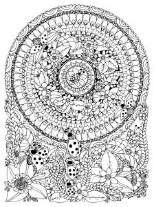 Mandala Insekten und Blumen