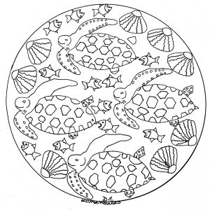 Mandala Fische und Muscheln