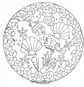 Mandala Muscheln Und Krustentiere