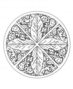 Mandala Blätter Und Ameisen