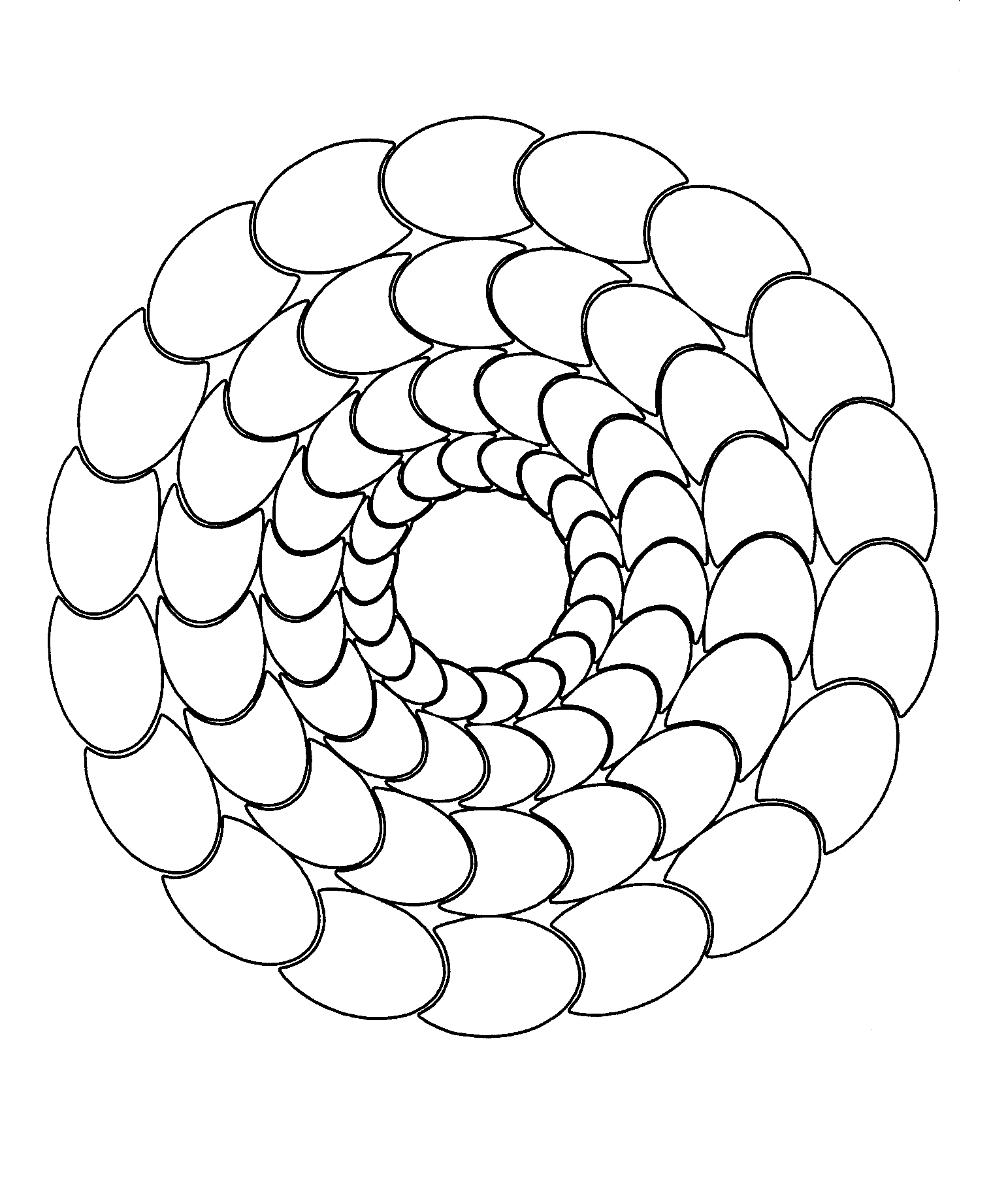 Mandala kleine Muscheln (Thematische Mandalas : Zen & Anti-Stress)