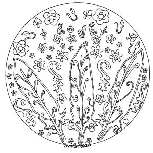 Mandala mit Federn (Thematische Mandalas : Zen & Anti-Stress)